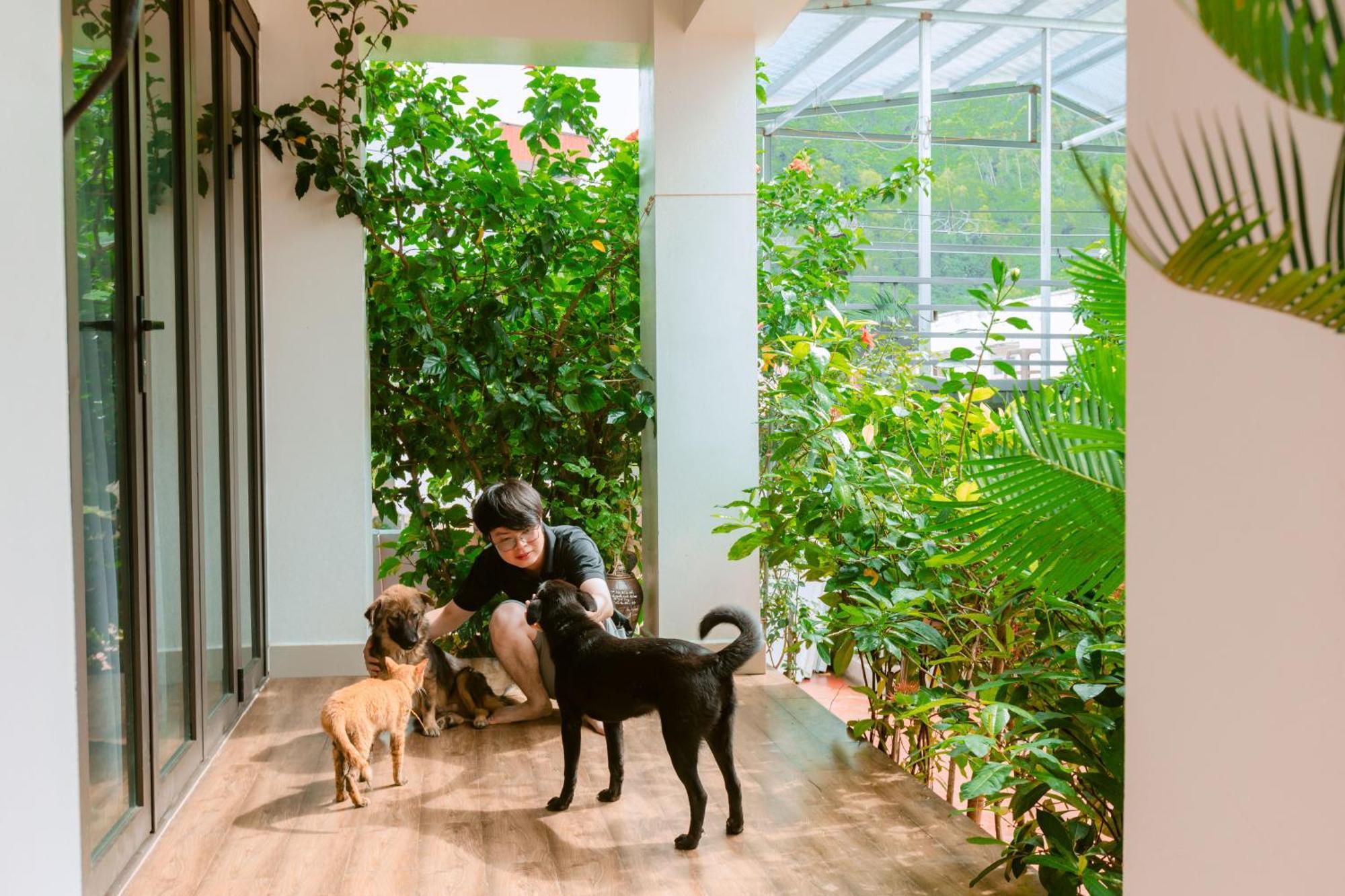 D'Home Homestay Cat Ba Dong Khe Sau Exterior foto